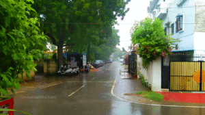 Delhi Weather