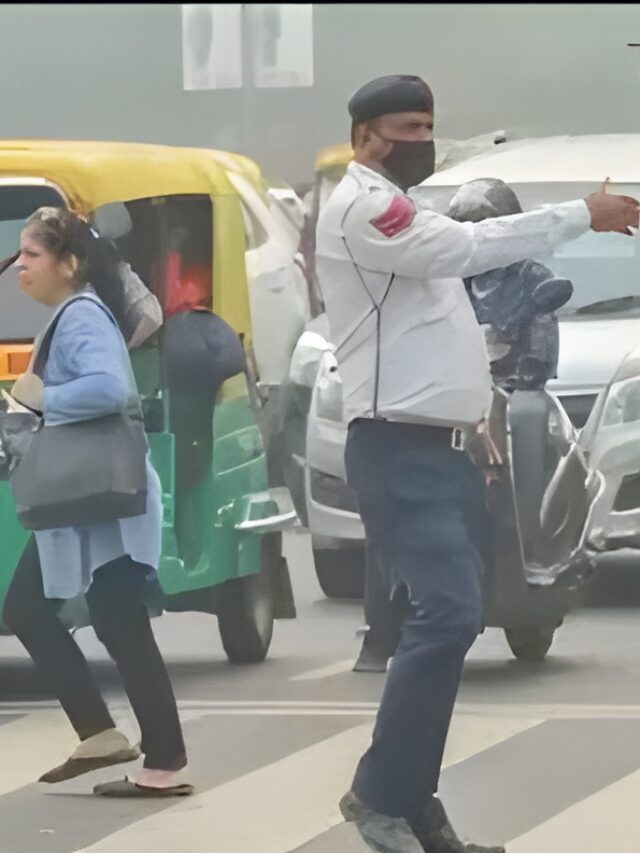 Delhi Traffic Police Turns Back 250+ Polluting Commercial Trucks